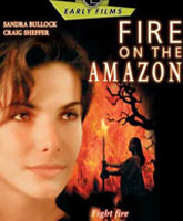 Fire on the Amazon /   
